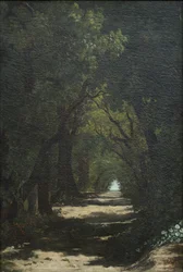 De bossen van Caldas